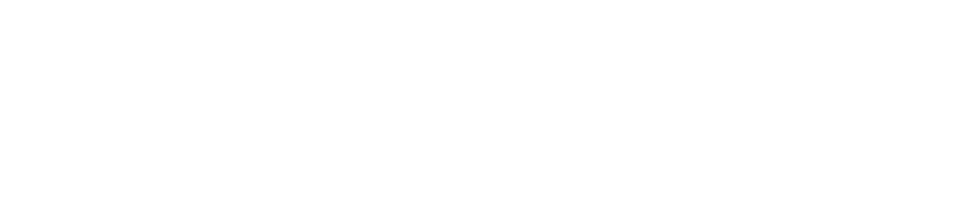 Ndaka Intelligent ECU